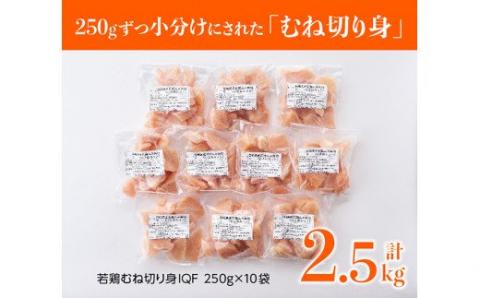 宮崎県産 若鶏 むね肉 切身 2.5kg (250ｇ×10袋)【 国産 九州産 鶏肉 肉 とり ムネ肉 小分け カット済み 】
