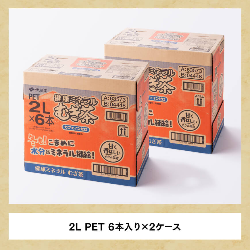 【12ケ月定期便】伊藤園 健康ミネラル むぎ茶 2L×6本×2ケース PET【お茶 麦茶 ムギ茶 飲料 ソフトドリンク ペットボトル 全12回】