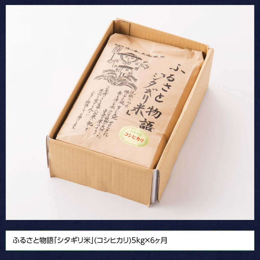 【6ヶ月定期便】※毎月20日頃発送※【令和6年産】宮崎県産こしひかり「シタギリ米」 5kg【 お米 新米 2024年産 定期便 全6回 】