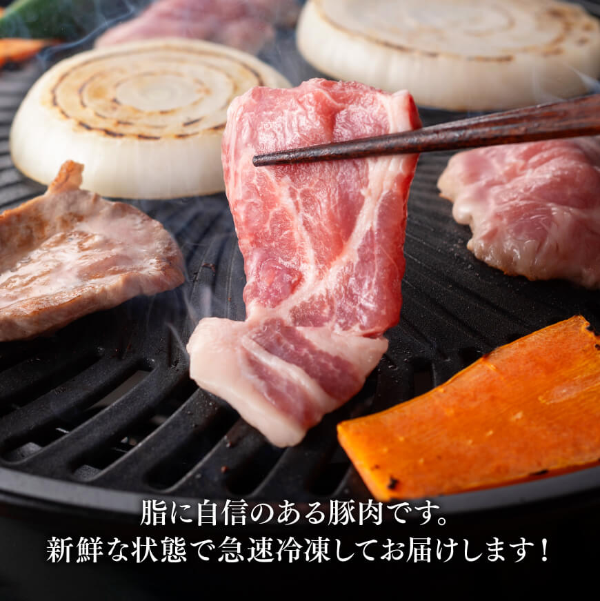 宮崎県産豚肉 小野さんちの