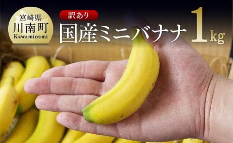 【訳あり】国産ミニバナナ1kg【国産 バナナ 無農薬 フルーツ 果物 デザート 朝食 スムージー 川南町】