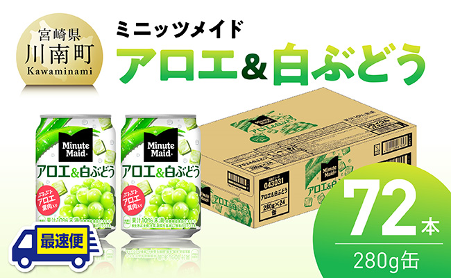 【最速便】コカ・コーラ ミニッツメイド「アロエ&白ぶどう」280g缶 72本（24本×3ケース） 【 飲料 アロエ 白ぶどう 果汁 長期保存 】