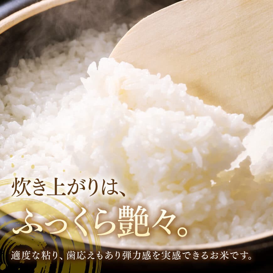 【令和6年産】黒木農園のお米「いのちの壱(白米)」5kg 【 米 お米 白米 国産 宮崎県産 いのちの壱 おにぎり 】