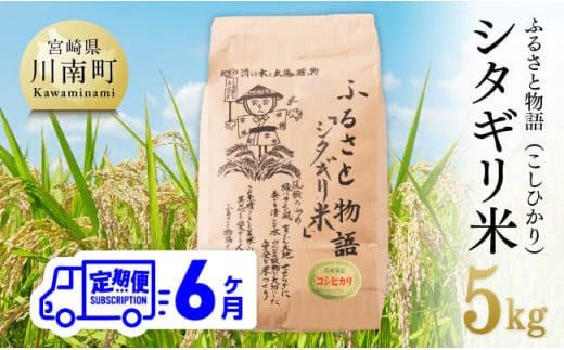 【6ヶ月定期便】※毎月20日頃発送※【令和6年産】宮崎県産こしひかり「シタギリ米」 5kg【 お米 新米 2024年産 定期便 全6回 】