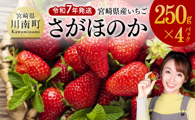 令和7年発送　宮崎県産いちご「さがほのか」250ｇ×4パック 【 先行予約 期間限定 果物 イチゴ 苺 フルーツ 】