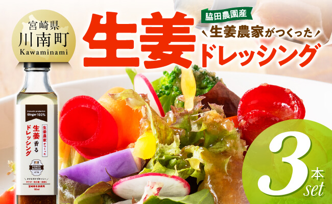 脇田農園産　生姜農家が作った生姜ドレッシング3本セット 【 生姜 ショウガ 国産 宮崎県産 九州産 川南町産 農家直送 しょうが ドレッシング 】