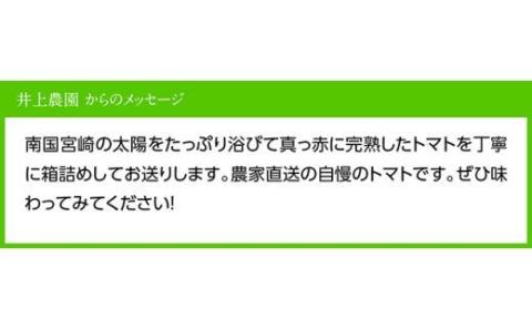 【令和7年発送】【訳あり】宮崎県産フルーツトマト「あいちゃん」3kg 【 野菜 ミニトマト とまと 宮崎県産 川南町産 野菜 産地直送 新鮮 数量限定 】