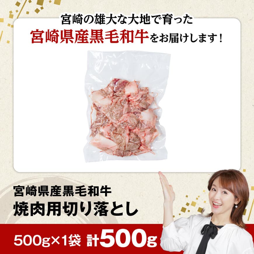 【数量限定】宮崎県産黒毛和牛　焼肉用切り落とし500g 【 牛肉 国産 宮崎県産 宮崎牛 BBQ 】