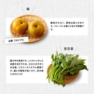 【定期便】産直おすず村 季節の野菜と果物 厳選 詰め合わせセット（大） 全4回【旬野菜 フルーツ 直売所 産地直送 宮崎県産】