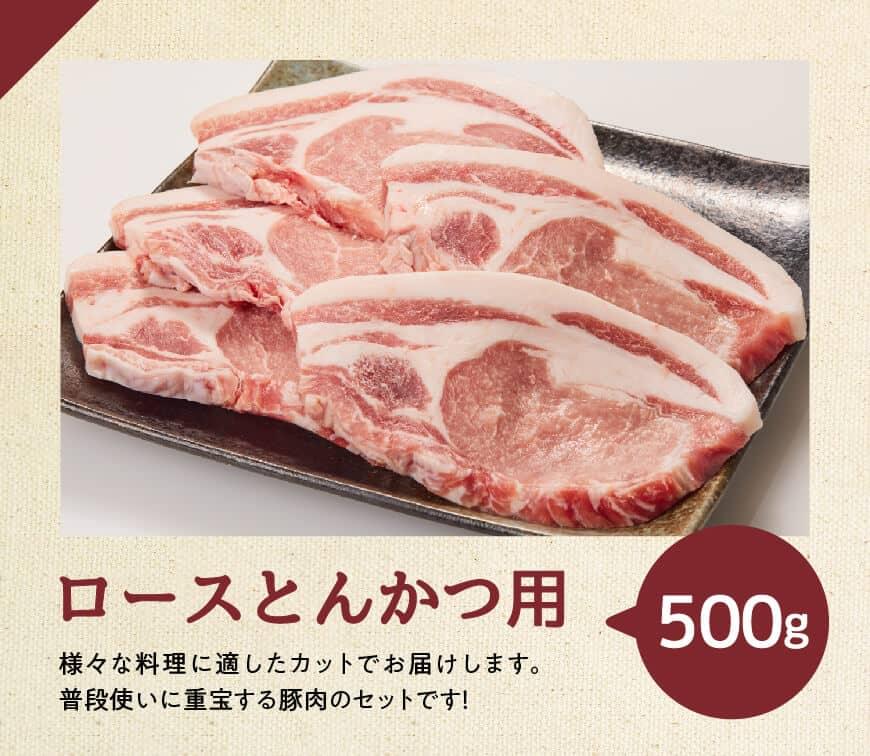 【3ヶ月定期便】宮崎県産豚肉バラエティ4種セット2.5kg【 肉 豚 豚肉 ロース バラ 切り落とし 】