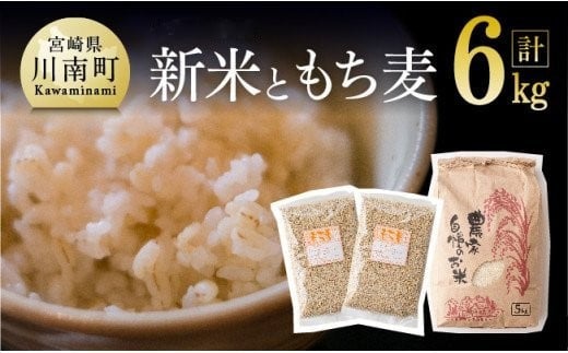 令和6年産 お米5kg(夏の笑み)ともち麦500g×2袋 【 宮崎県産 米 こめ 精米 おにぎり 麦 穀物 】