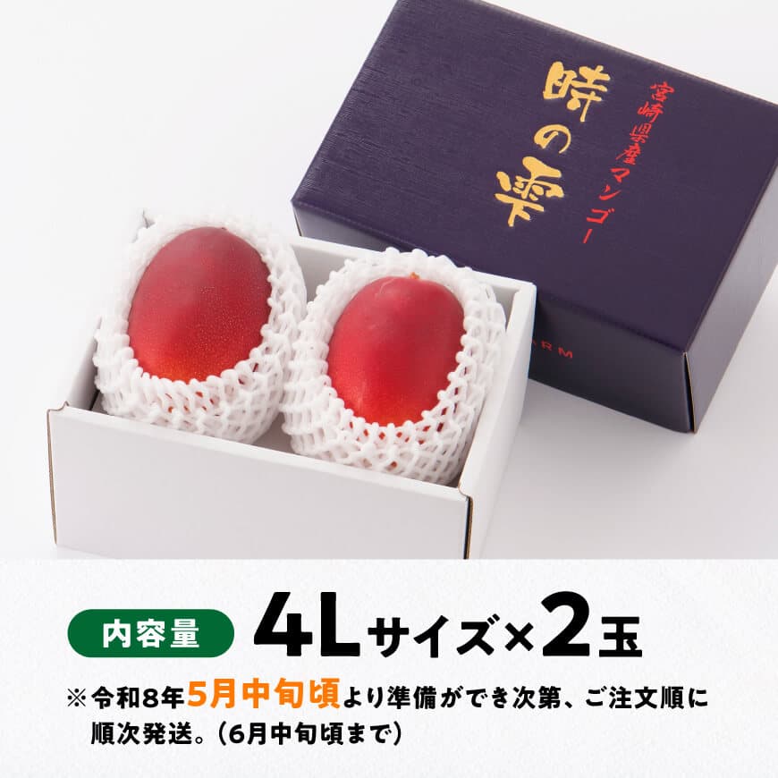 【令和8年発送】宮崎県産 完熟マンゴー「時の雫」 4L×2玉 【 果物 フルーツ マンゴー 宮崎県産 九州産 完熟マンゴー みやざきマンゴー 】
