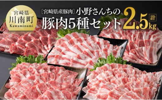 宮崎県産豚肉 小野さんちの"豚肉５種セット” 2.5kg【 豚肉 豚 肉 宮崎県産 しゃぶしゃぶ 焼肉 セット 和洋中】