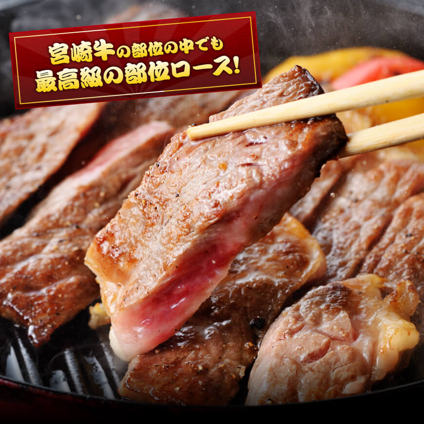 ５等級！宮崎牛ロースステーキ500g 肉 牛 牛肉 国産 黒毛和牛