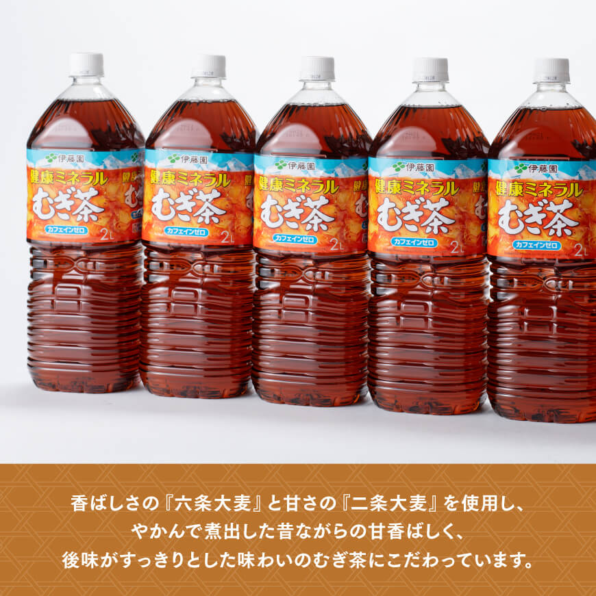 【12ケ月定期便】伊藤園 健康ミネラル むぎ茶 2L×6本×2ケース PET【お茶 麦茶 ムギ茶 飲料 ソフトドリンク ペットボトル 全12回】