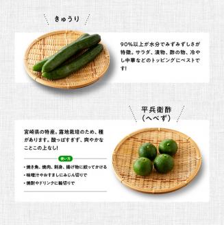 【定期便】産直おすず村 季節の野菜と果物 厳選 詰め合わせセット（大） 全4回【旬野菜 フルーツ 直売所 産地直送 宮崎県産】