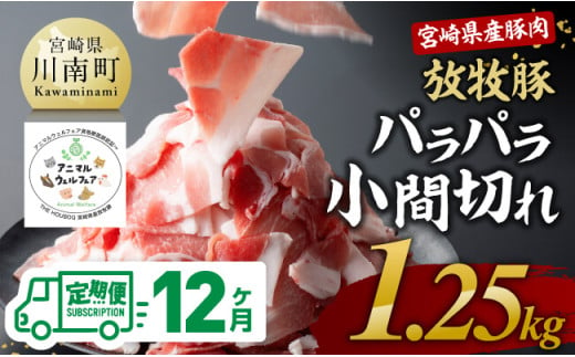 【12ヶ月定期便】宮崎県産豚肉放牧豚パラパラ小間切れ1.25kg【 豚肉 豚 肉 小間切れ 細切れ 炒め物 】