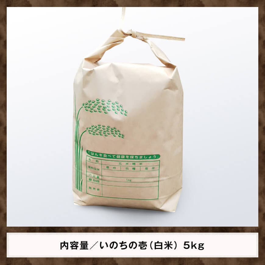 【令和6年産】黒木農園のお米「いのちの壱(白米)」5kg 【 米 お米 白米 国産 宮崎県産 いのちの壱 おにぎり 】