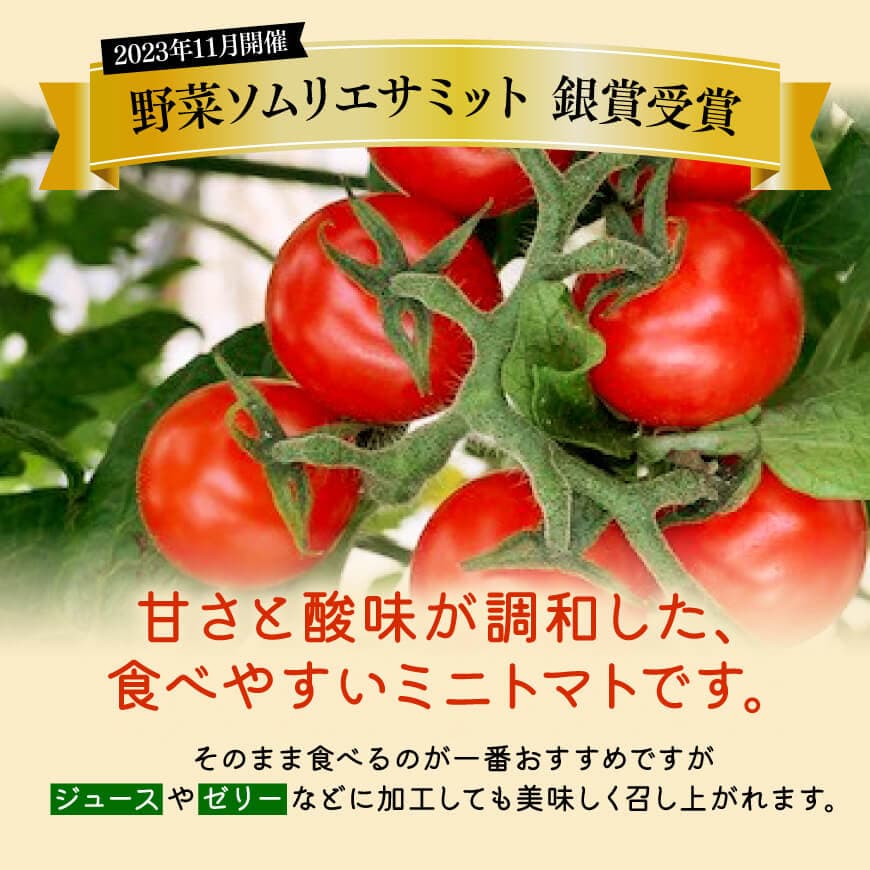 宮崎県産完熟ミニトマト「アルル」2kg 【 新鮮 アルル ミニトマト とまと 野菜 産地直送 宮崎県産川南町産 送料無料 】