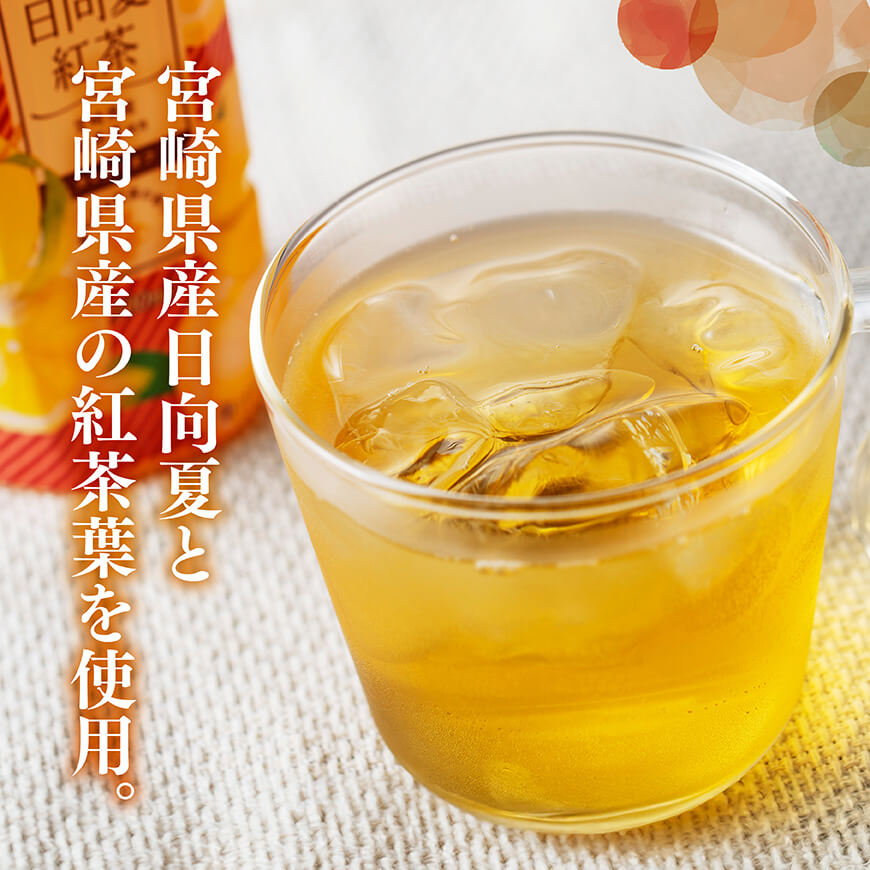 【3ヶ月定期便】 サンA 日向夏 紅茶 HINATA TEA 500mlＰＥＴ 24本 入り 【飲料 日向夏 紅茶 PET ジュース 長期保存 送料無料】