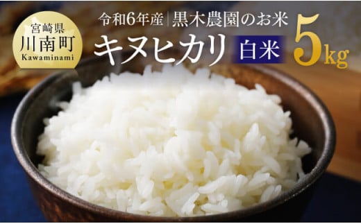 【令和6年産】黒木農園のお米「キヌヒカリ(白米)」5kg 【 米 お米 白米 国産 宮崎県産 きぬひかり おにぎり 】