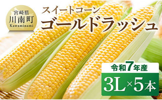 【令和7年発送】宮崎県産とうもろこし　スイートコーン「ゴールドラッシュ」3L×5本【新鮮 農家直送 トウモロコシ 産地直送 季節限定 期間限定 宮崎県産 九州産】