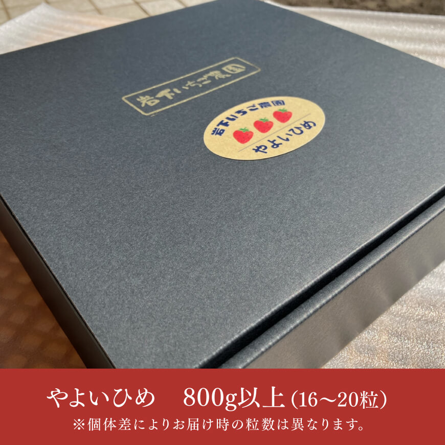 川南町産いちご「やよいひめ」計800ｇ【 先行予約 期間限定 果物 イチゴ 苺 フルーツ 】