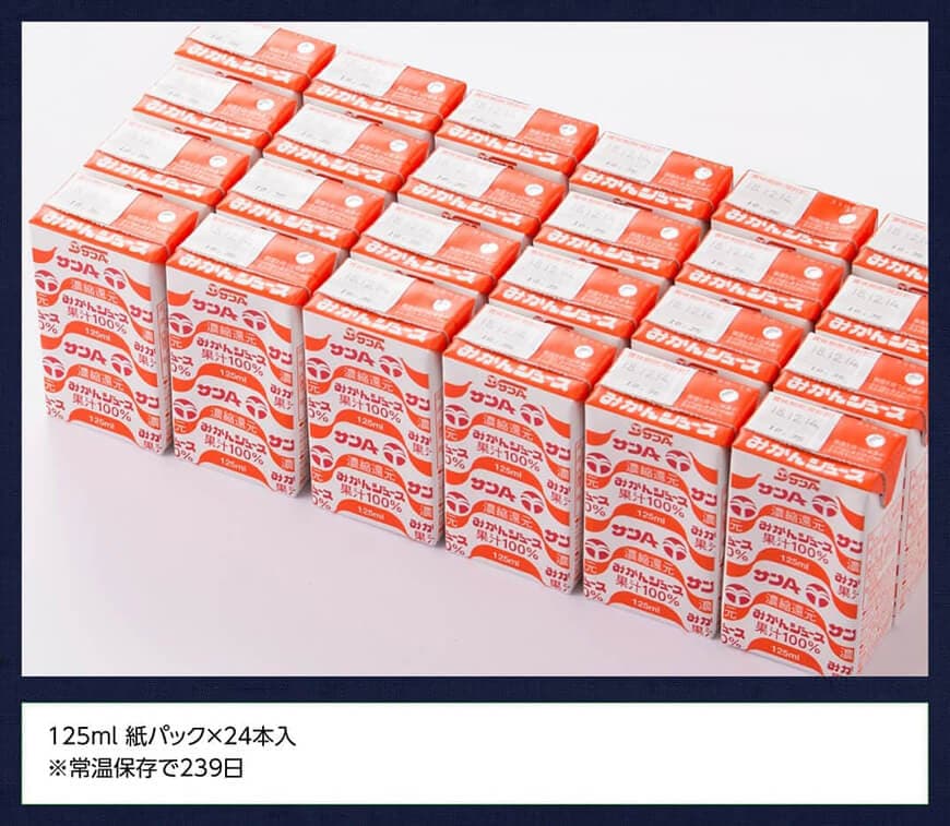 サンA みかんジュース100% 125ml 紙パック24本入り 【 ふるさと納税 飲料 オレンジ ジュース みかん ミカン 温州みかん 紙パック 送料無料 】 