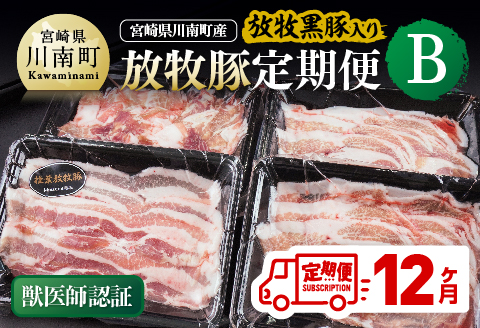 【12ヶ月定期便】宮崎県川南町産 放牧豚定期便B（放牧黒豚入り） 【 豚 肉 豚肉 黒豚 国産 九州産 宮崎県産 川南町 加工品 セット 送料無料 】