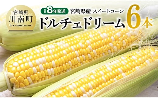 【令和8年発送】宮崎県産とうもろこし　スィートコーン「ドルチェドリーム」6本 【 とうもろこし スイートコーン コーン 野菜 】