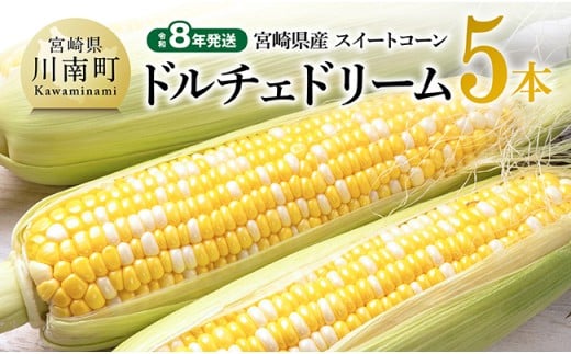 【令和8年発送】宮崎県産とうもろこし　スィートコーン「ドルチェドリーム」5本 【 とうもろこし スイートコーン コーン 野菜 】