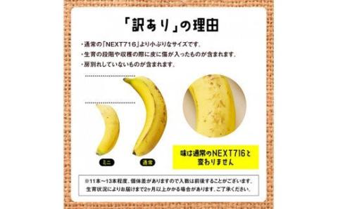 【訳あり】国産ミニバナナ1kg【国産 バナナ 無農薬 フルーツ 果物 デザート 朝食 スムージー 川南町】