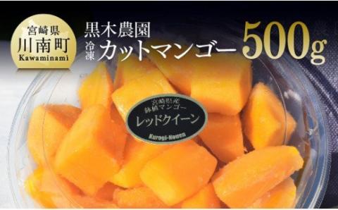 宮崎県産マンゴー　黒木農園の冷凍カットマンゴー（種なし）500g 【 レッドクイーン マンゴー 果物 フルーツ スイーツ 】