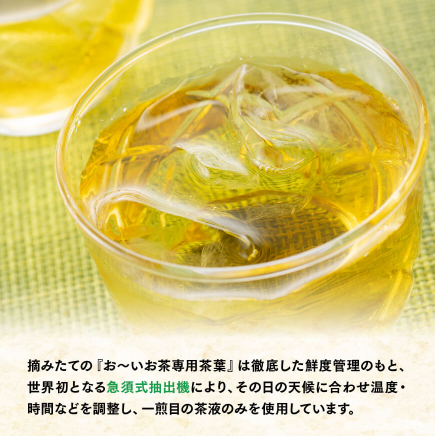 伊藤園 おーいお茶 緑茶 2L×6本×2ケース PET【お茶 緑茶 飲料 ソフトドリンク ペットボトル お〜いお茶】