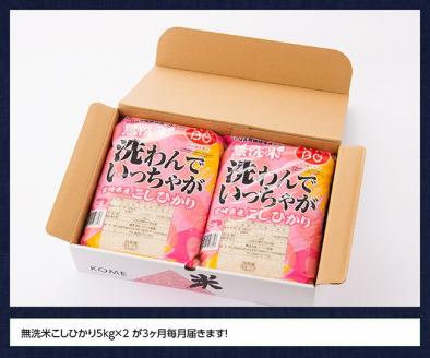 【3ヶ月定期便】（令和6年産）宮崎県産 無洗米こしひかり10kg【 米 国産 九州産 宮崎県産 おにぎり おべんとう おかず 新米 早場米 送料無料 】