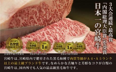 【特選】宮崎牛6種盛 焼肉食べ比べセット【肉 牛肉 国産 黒毛和牛 肉質等級4等級以上 4等級 5等級 焼肉】