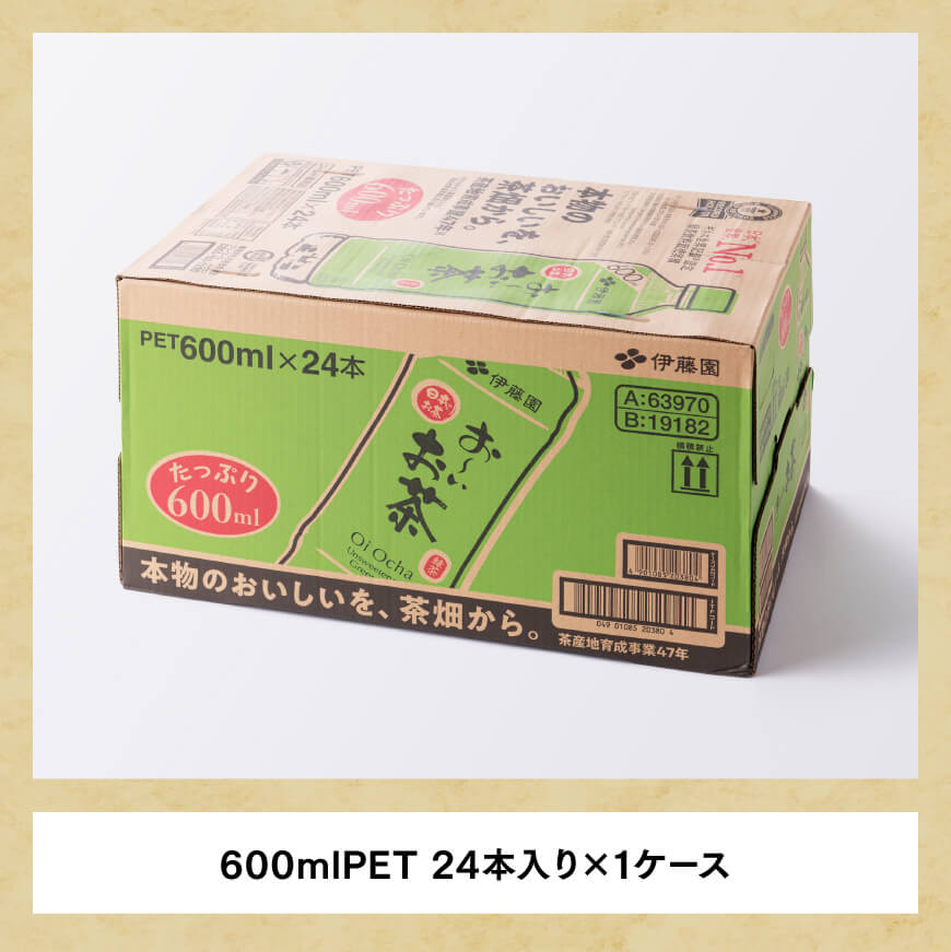 【6ヶ月定期便】おーいお茶 緑茶600ml×24本 PET【 飲料 飲み物 ソフトドリンク お茶 ペットボトル 備蓄 全6回 送料無料】宮崎県川南町