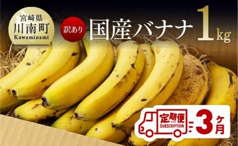 【定期便】【訳あり】国産バナナ1kg　3ヶ月定期便【国産 バナナ 無農薬 フルーツ 果物 デザート 朝食 スムージー 川南町 全3回】