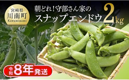 【令和8年発送】朝どれ！守部さん家のスナップエンドウ2.0kg 【 野菜 宮崎県産 エンドウ豆 えんどう豆 おつまみ 2026年発送 】