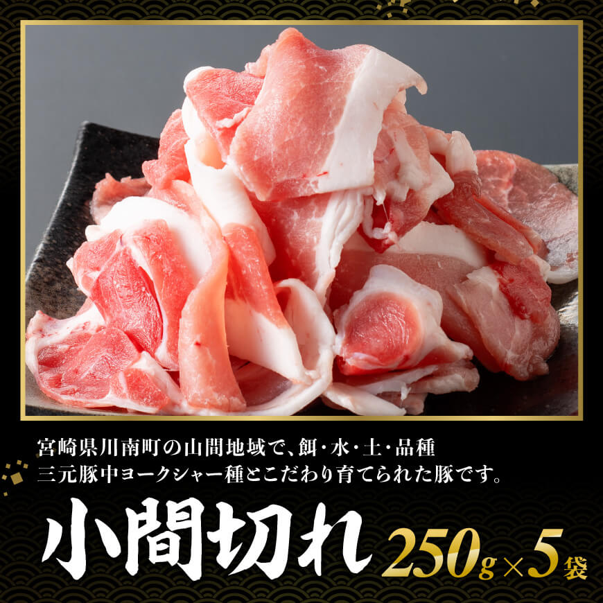 【12ヶ月定期便】宮崎県産豚肉放牧豚パラパラ小間切れ1.25kg【 豚肉 豚 肉 小間切れ 細切れ 炒め物 】