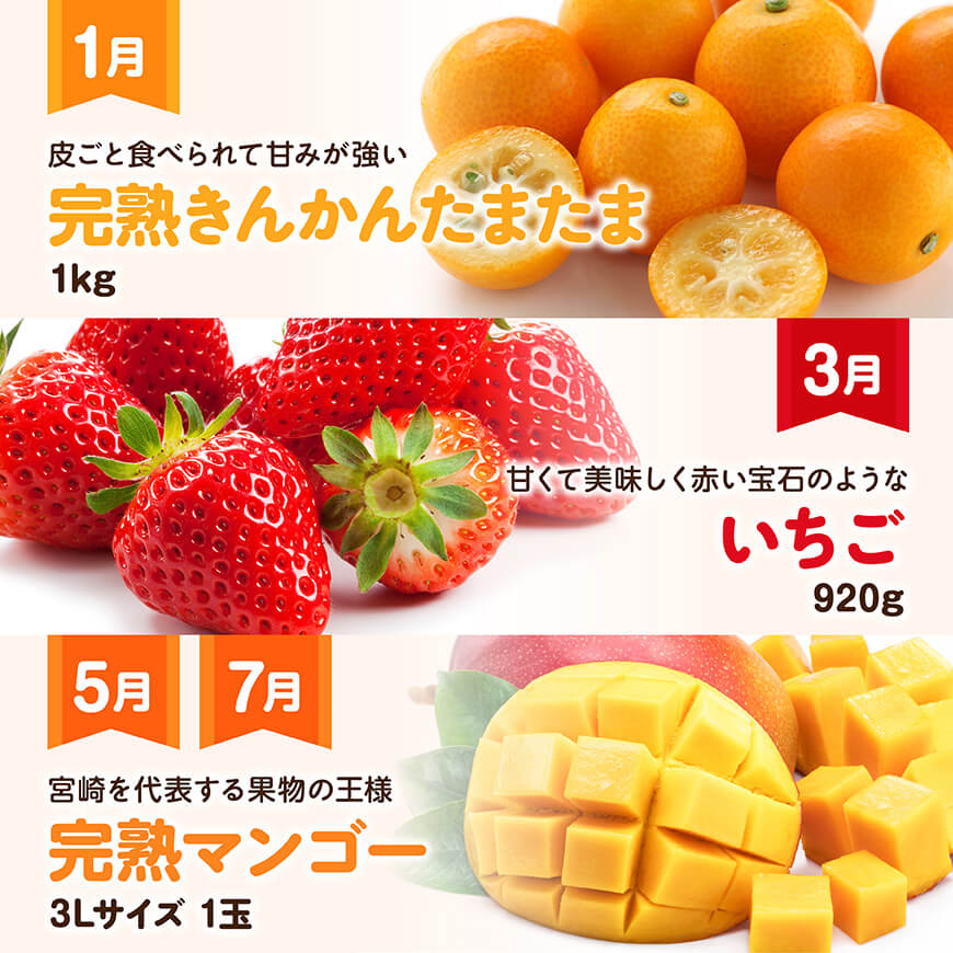 ã å
š6åå®æäŸ¿ ã ãã©ãã¯ã¹ å®æäŸ¿ ã奿°æãã å·åçºç£ ãããã ãã¡ã å®ç ãã³ãŽãŒ ã¶ã©ã ããªãŒã èµ€è ã¡ãã³ ã