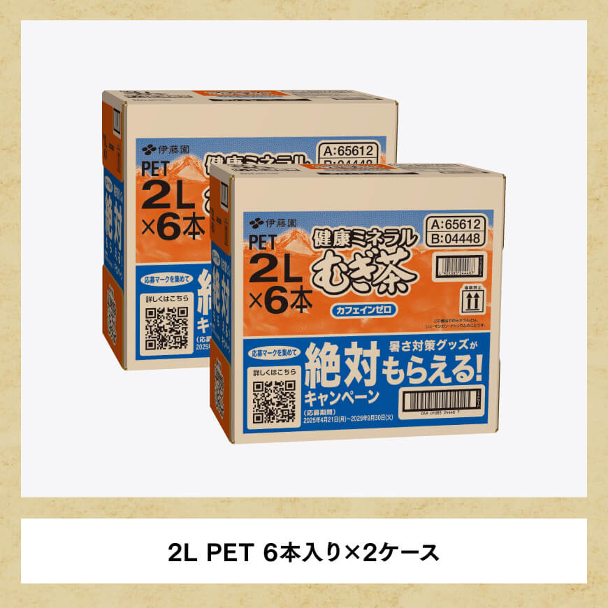 【6ケ月定期便】伊藤園 健康ミネラル むぎ茶 2L×6本×2ケース PET【お茶 麦茶 ムギ茶 飲料 水分補給 ソフトドリンク ペットボトル カフェインゼロ カロリーゼロ 全6回】