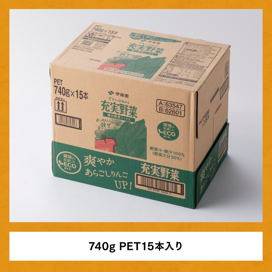 充実野菜 緑の野菜ミックスペットボトル 740g×15本　6ヶ月定期便【伊藤園 野菜ジュース 全６回 健康 ヘルシー】