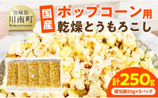 国産ポップコーン用（乾燥とうもろこし）　250g（個包装50g×5パック） 【 数量限定 期間限定 宮崎県産 ポップコーン 】
