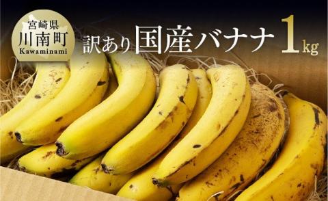 【訳あり】国産バナナ１ｋｇ（10本〜13本程度）【国産 バナナ 無農薬 フルーツ 果物 デザート 朝食 スムージー 川南町】