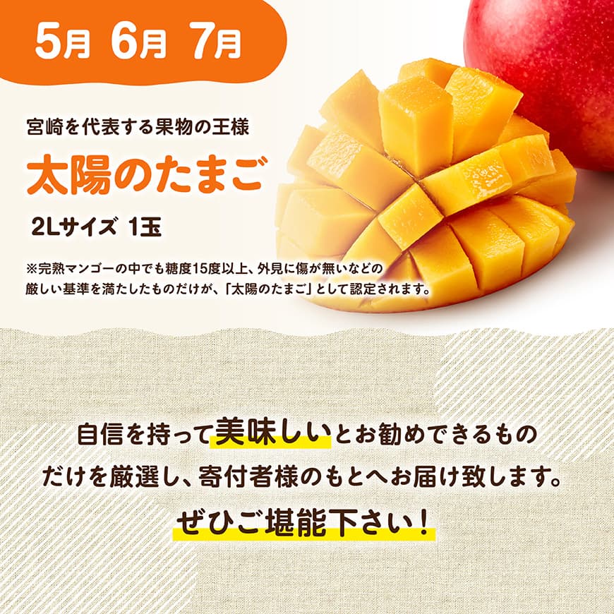 【3ヶ月定期便】選ばれし太陽のたまご定期便Vol.1 【 川南町産 くだもの マンゴー   】