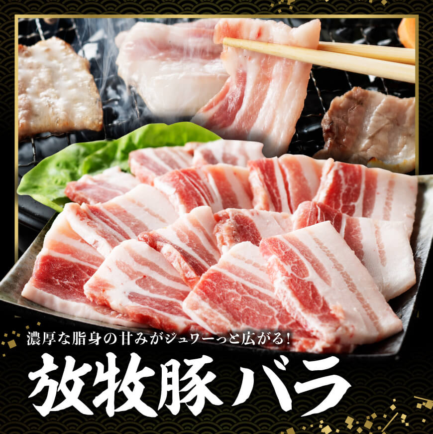 宮崎県産 「 放牧豚 ＆ 若鶏 」焼肉 セット 1kg 【 豚肉 豚 肉 鶏肉 鶏 肉 国産 宮崎県産 ロース バラ 小肉 】