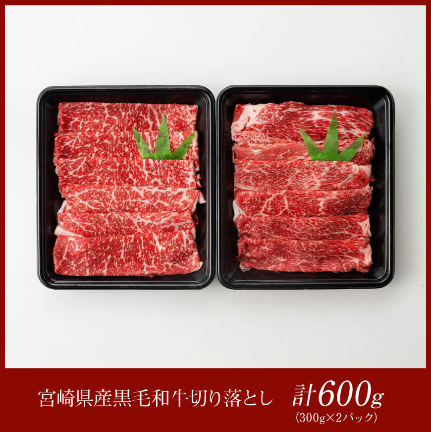 宮崎県産 黒毛和牛 切り落とし 600g【 肉 牛肉 肉 宮崎牛 炒め物 2パック 日本ハム 】