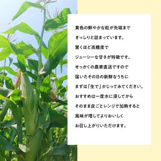 【令和7年発送】宮崎県産とうもろこし　大山さんちのスイートコーン「ゴールドラッシュ」4.5kg 【 先行予約 数量限定 期間限定 スィートコーン 2025年発送 先行受付 宮崎県産 九州産 】