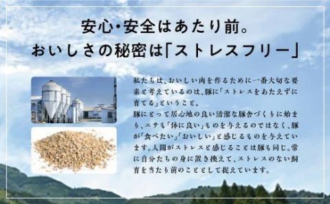 『宮崎産ひむかみやび豚 ロース味噌漬け』 500g【肉 豚肉 国産 九州産 宮崎県産 味付 焼くだけ 簡単調理】